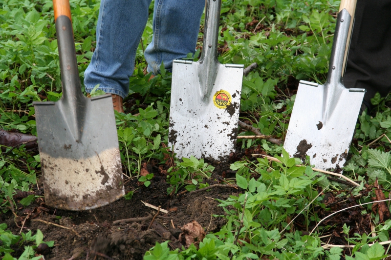 pepiniere-LA SEYNE SUR MER-min_work-lawn-flower-tool-green-backyard-1103633-pxhere.com